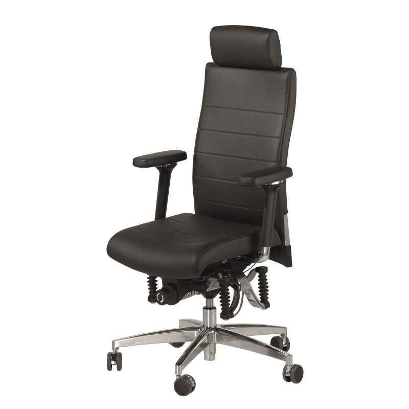 Haider BioSwing 660 iQ Trendline Chair