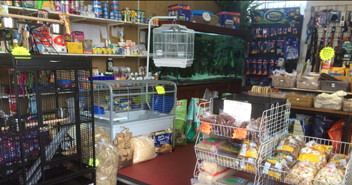 A busy pet store interior with multiple bird cages, a large aquarium, shelves of packaged supplies, hanging bird feeders, and pet food baskets on a counter.