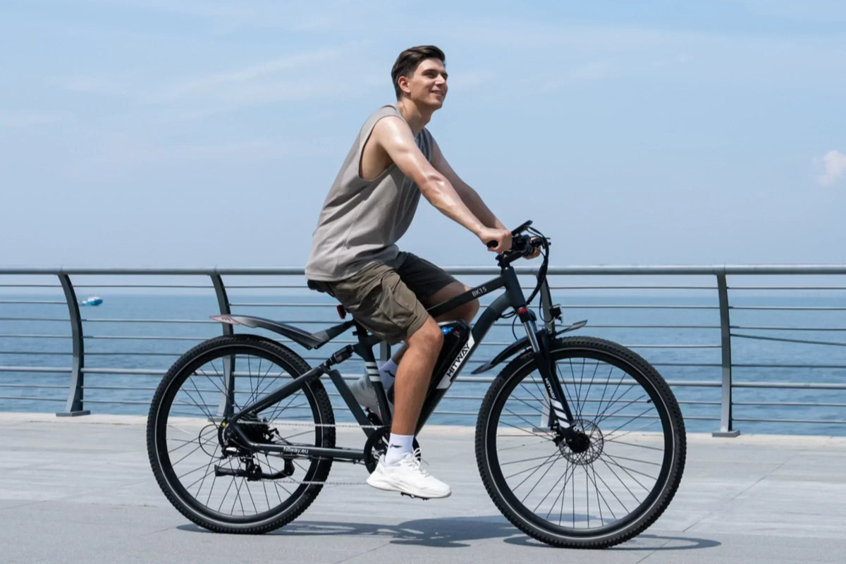 BK15PL 29 inch Electric Bike