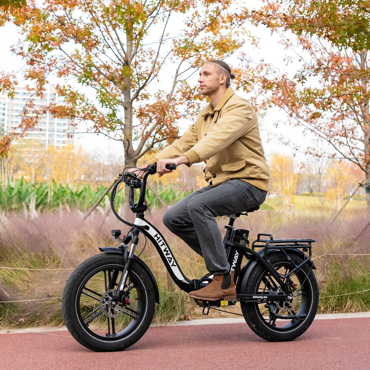 BK6S Pro Folding Electric Bike