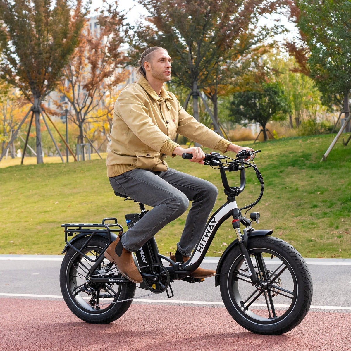 BK6S Pro Folding Electric Bike